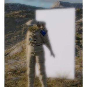 The back Door